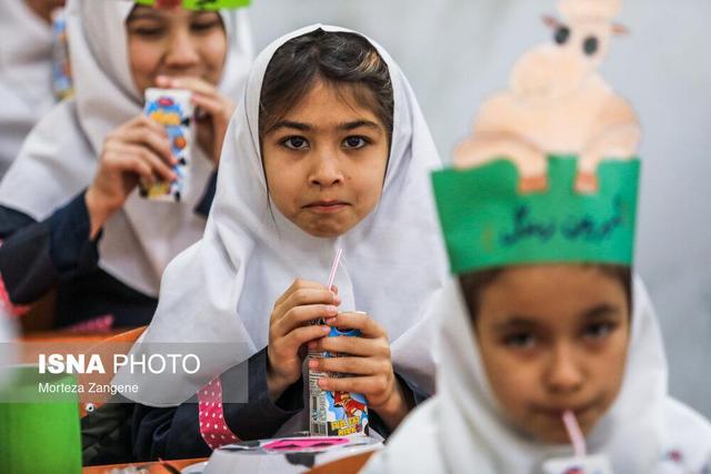 دبیر برگزاری مجامع سلامت کشور تاکید کرد: توزیع شیر مدارس در کل کشور انجام خواهد شد