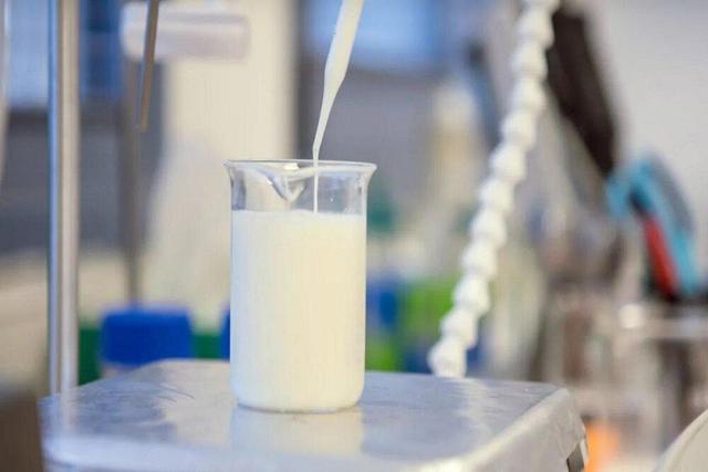 مدیرکل دامپزشکی استان: کیفیت شیر تولیدی قزوین در حد استانداردهای اروپایی است