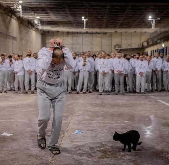 جهاد اسلامی قانونی کردن اعدام اسیران فلسطینی را «جنایت جنگی» خواند