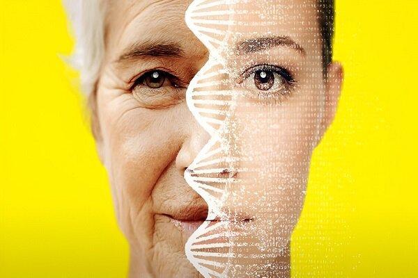 ۶ خوراکی که شما را زودتر پیر می‌کند