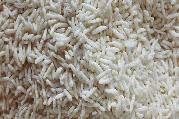 توزیع برنج پاکستانی در بازار با قیمت مصوب ۴۶ هزار تومان