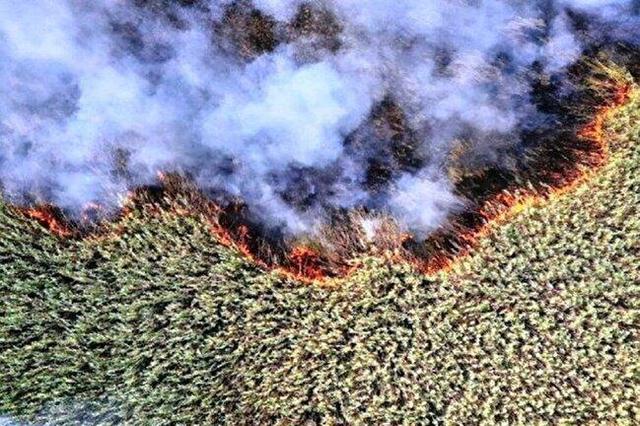 هورالعظیم در آتش؛ ریشه بحران دود در خشکسالی ۸ ماهه بخش عراقی است/ حقابه هورالعظیم گروگان کم‌آبی عراق