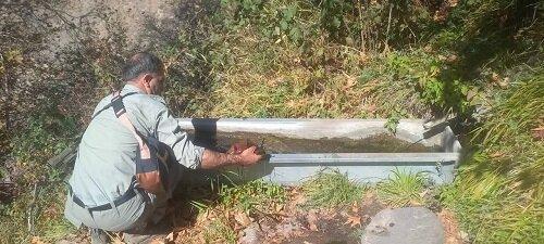 شکارچیان سابقه‌دار در تور محیط‌بانان قزوین