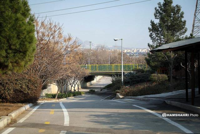 پیاده‌راه سلامت برای بانوان پایتخت