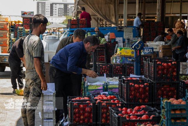 کاهش تولید به‌علاوه افزایش صادرات مساوی با گرانی میوه
