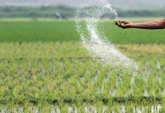 اختصاص ۴۰۰ میلیارد ریال برای طرح‌های کشاورزی مانه خراسان‌شمالی