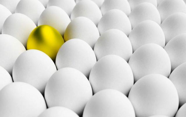 افزایش ۳ برابری صادرات تخم مرغ خوراکی در استان مرکزی