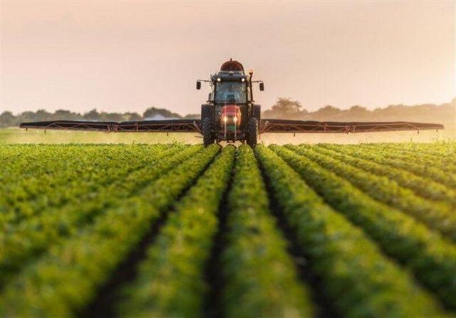 قطب کشاورزی جنوب کشور با چالش‌های جدی روبرو است