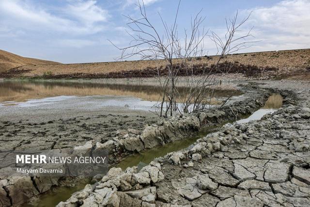 خشکسالی و تغییرات اقلیمی؛ تهدیدات جدی برای کشاورزی و زیست‌بوم کردستان