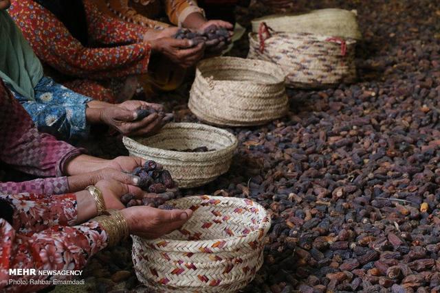 اینفوگرافیک؛ خاصیت‌های جادویی خرمای پیارم