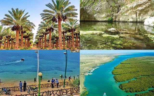 بوشهر گنج پنهان خلیج فارس در مسیر توسعه گردشگری