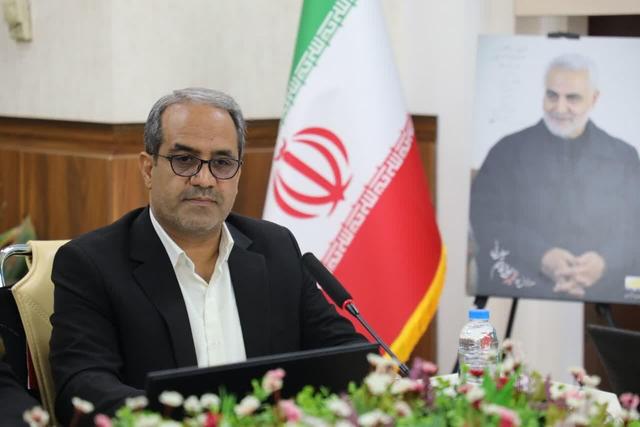 قویدل: ۷۴ درصد از سارقان در کرمان زیر دیپلم هستند