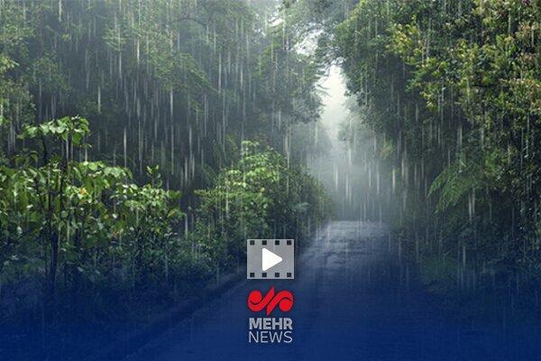 بارش شدید باران در سیاهکل