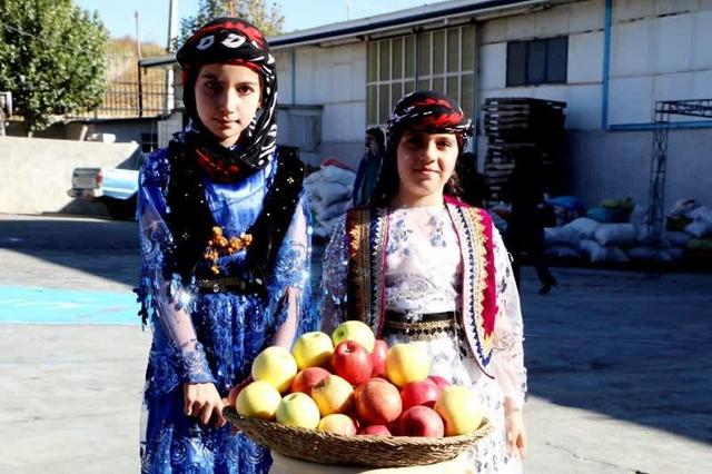 جشنواره سیب بروجرد برگزار شد