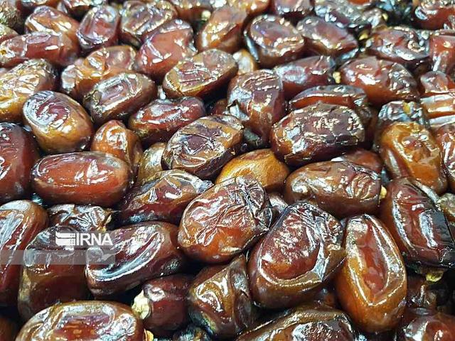 فیلم | «خرمای بوشهر» شیرینی که جهان می‌چشد