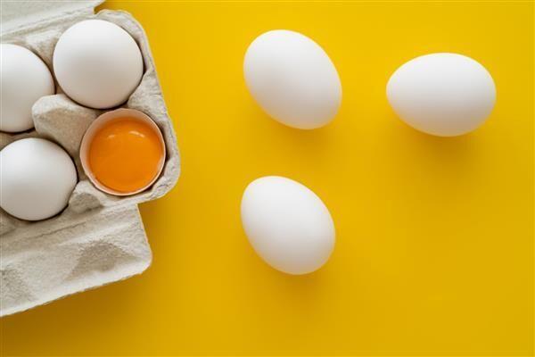 افزایش سه برابری صادرات تخم مرغ خوراکی در استان مرکزی