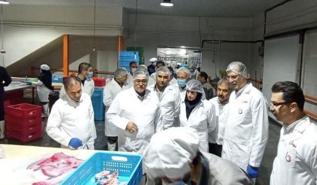 معاون استاندار زنجان: نظارت بر تولید و عرضه مواد غذایی نباید مقطعی باشد