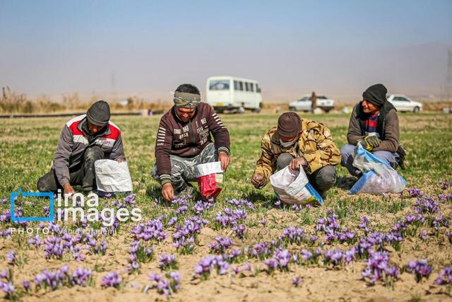 اختصاص ردیف اعتباری ویژه زنان روستایی و عشایری/هدفگذاری ایجاد ۵۰۰ روستا بازار