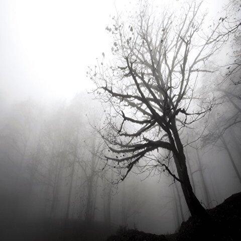 تصاویر: مسیر رویایی خلخال به اسالم