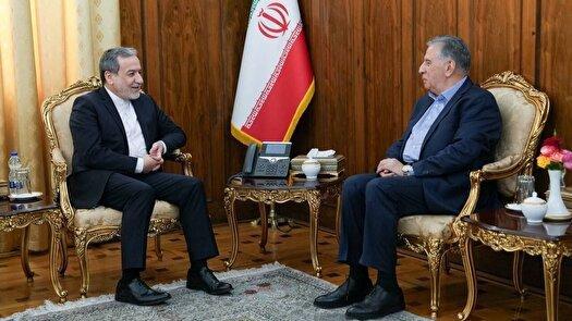 وظیفه وزارت امور خارجه گشودن مسیر برای فعالان اقتصادی است