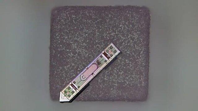 خواندن ذهن با دستگاهی کوچک‌تر از یک دانه نمک / آغاز عصر ایمپلنت‌های نامرئی