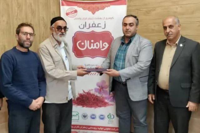 ۸۰۰ هکتار از اراضی منطقه وامنان زیر کشت زعفران قرار دارد