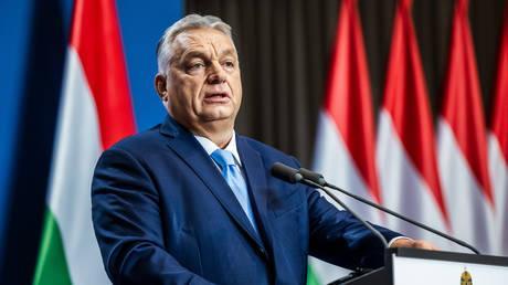 Ukrainians behind theft of EU citizens’ personal data – Orban