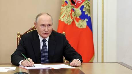 Putin orders rare-earth metals strategy