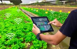 اجرای ۱۱۰ طرح آزمایشی آبیاری هوشمند در ۱۳ هزار هکتار از مزارع و باغات