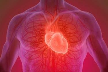 روند نزولی سلامت قلب از ۱۷ سالگی آغاز می‌شود