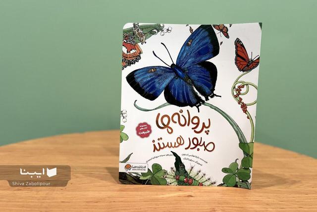 کتابی برای شناخت پروانه‌ها با تصاویر زیبا و خلاقانه