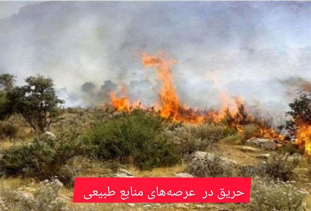 فیلم | مدیریت آتش‌سوزی جنگل‌ها با مشارکت جوامع محلی