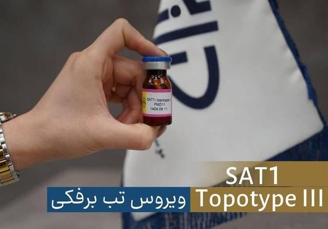 شناسایی سویه جدید ویروس تب‌برفکی SAT۱ در تهران/ واکسن به سرعت تولید شد