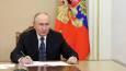 Putin orders rare-earth metals strategy