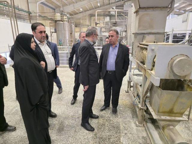 مدیرعامل صندوق حمایت از سرمایه‌گذاری صنایع کوچک: صنایع کوچک نقش کلیدی در اقتصاد کشور دارند