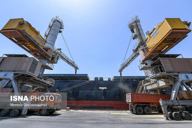 فریاد مرغداران شنیده شد؛ ذرت در راه است!