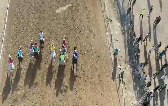 درخشش اسب سوران هرمزگانی در کورس پاییزه یزد