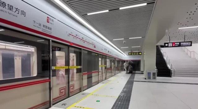 ساخت یک متروی واقعی برای گربه ها ! + ویدئو