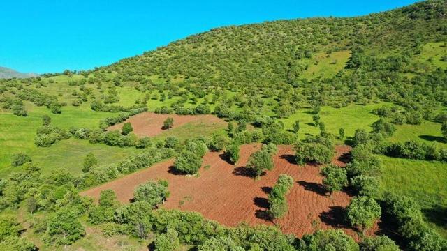 اولین جنگل شهری کشور افتتاح شد