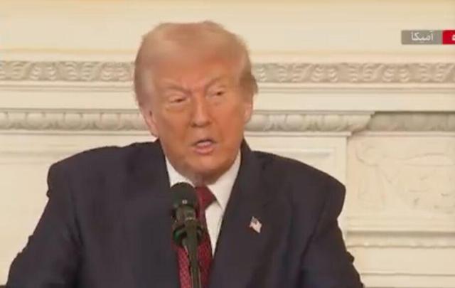 ترامپ: سناتورهای دموکرات شبیه پهپادهای انتحاری هستند!