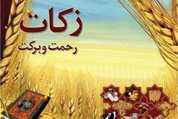 ۳۸۶ میلیارد تومان برای اشتغالزایی مددجویان زنجانی اختصاص یافت