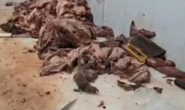 کشف ۶۰۰ کیلوگرم گوشت فاسد قبل از توزیع در بازار در رباط کریم