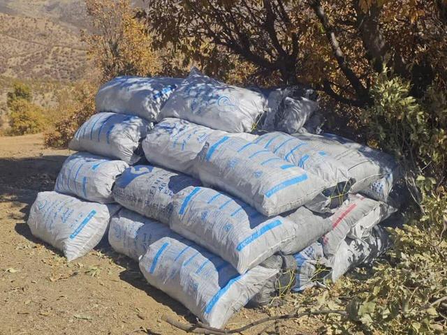 کشف و ضبط کوره زغال‌گیری غیرمجاز در اراضی جنگلی کردستان