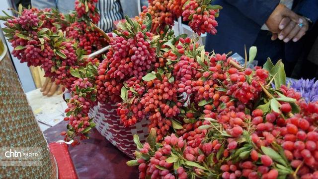 رونق گردشگری قاینات همزمان با گردش فصل‌ها