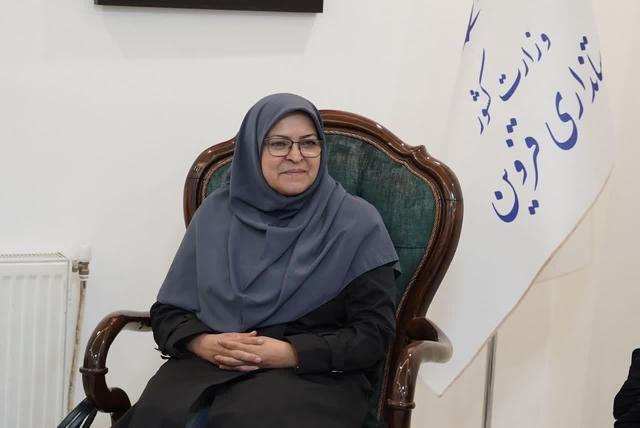 انصاری: نظام حکمرانی استاندارد کشور درحال تحول بنیادین است