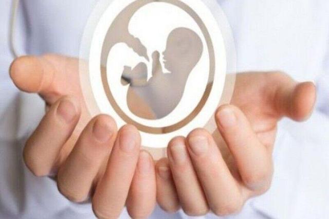 بیش از ۶ هزار زوج نابارور در استان اردبیل نشان دار شدند