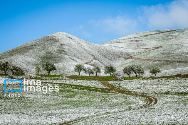 نخستین برف پاییزی ارتفاعات مازندران را سفیدپوش کرد