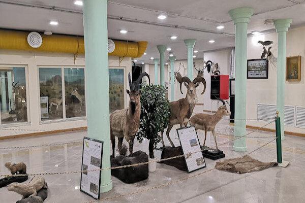 خراسان شمالی صاحب موزه سکه و اسکناس می‌شود