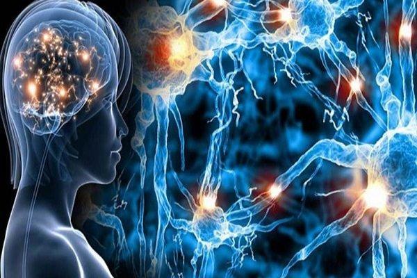 یائسگی بر پیشروی بیماری ام‌اس تأثیری ندارد