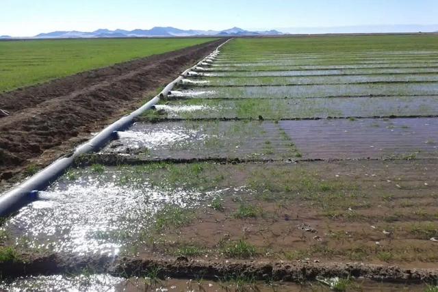 ۹۰۰ هکتار از اراضی خراسان جنوبی زیر پوشش سامانه‌های نوین آبیاری قرار گرفت